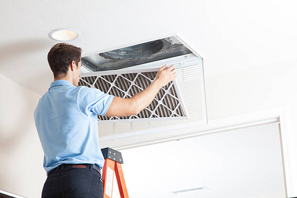 Best HVAC maintenance near me  in Eclectic, AL